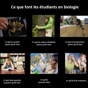 étudiants-en-biologie